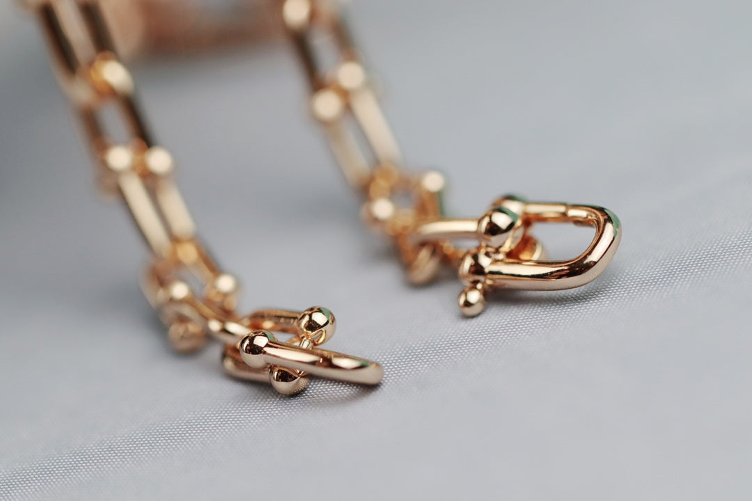 [Rose Tomorrow]HARDWEAR LINK GOLD NECKLACE