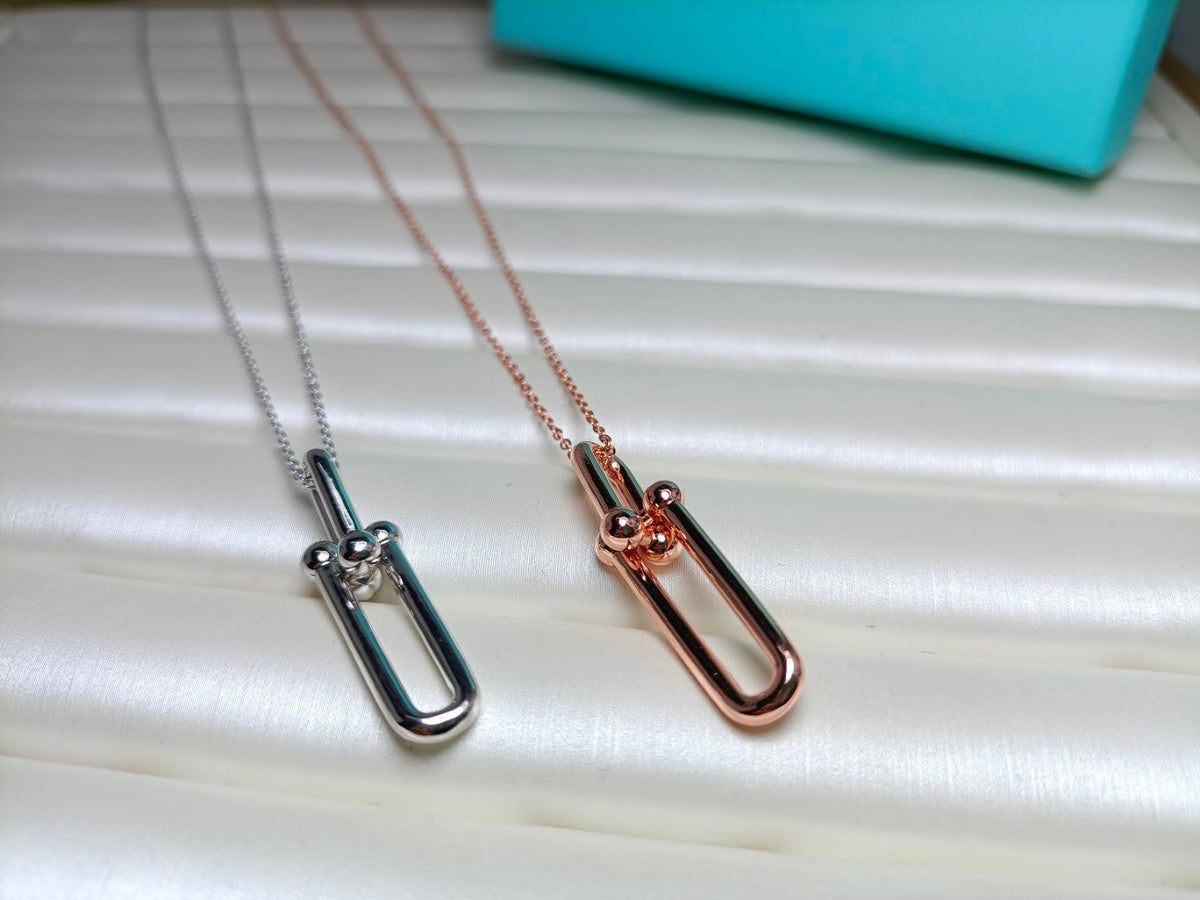 [Rose Tomorrow]HARDWEAR DROP DOUBLE LINK PEDANT NECKLACE