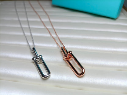 [Rose Tomorrow]HARDWEAR DROP DOUBLE LINK PEDANT NECKLACE