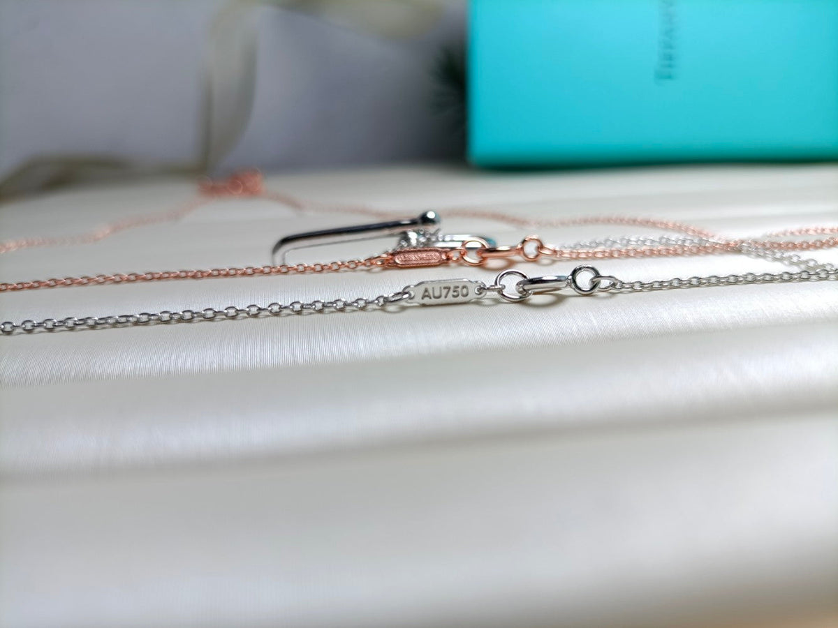 [Rose Tomorrow]HARDWEAR DROP DOUBLE LINK PEDANT NECKLACE