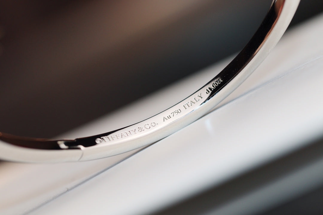 [Rose Tomorrow]NARROW T1 HINGED BANGLE DIAMOND SILVER