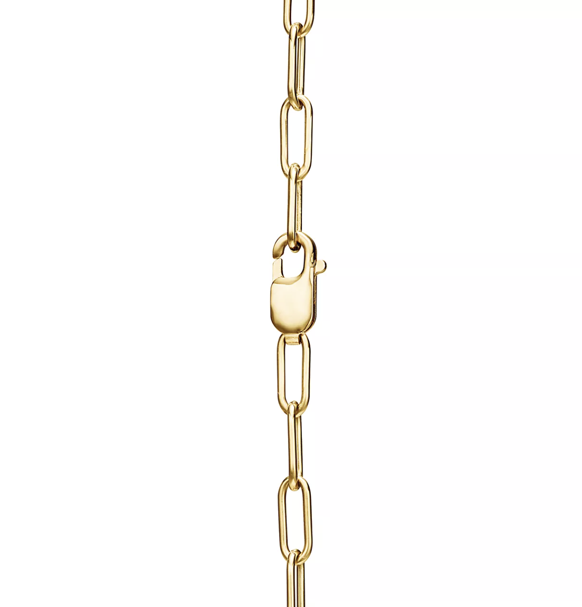 [Rose Tomorrow]LOCK NECKLACE GOLD