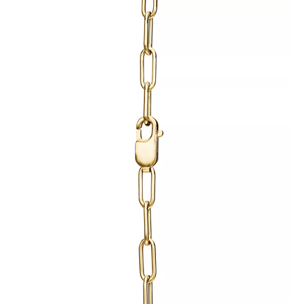 [Rose Tomorrow]LOCK NECKLACE GOLD