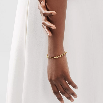 [Rose Tomorrow]HARDWEAR SMALL LINK 26 MOTIF GOLD BRACELET